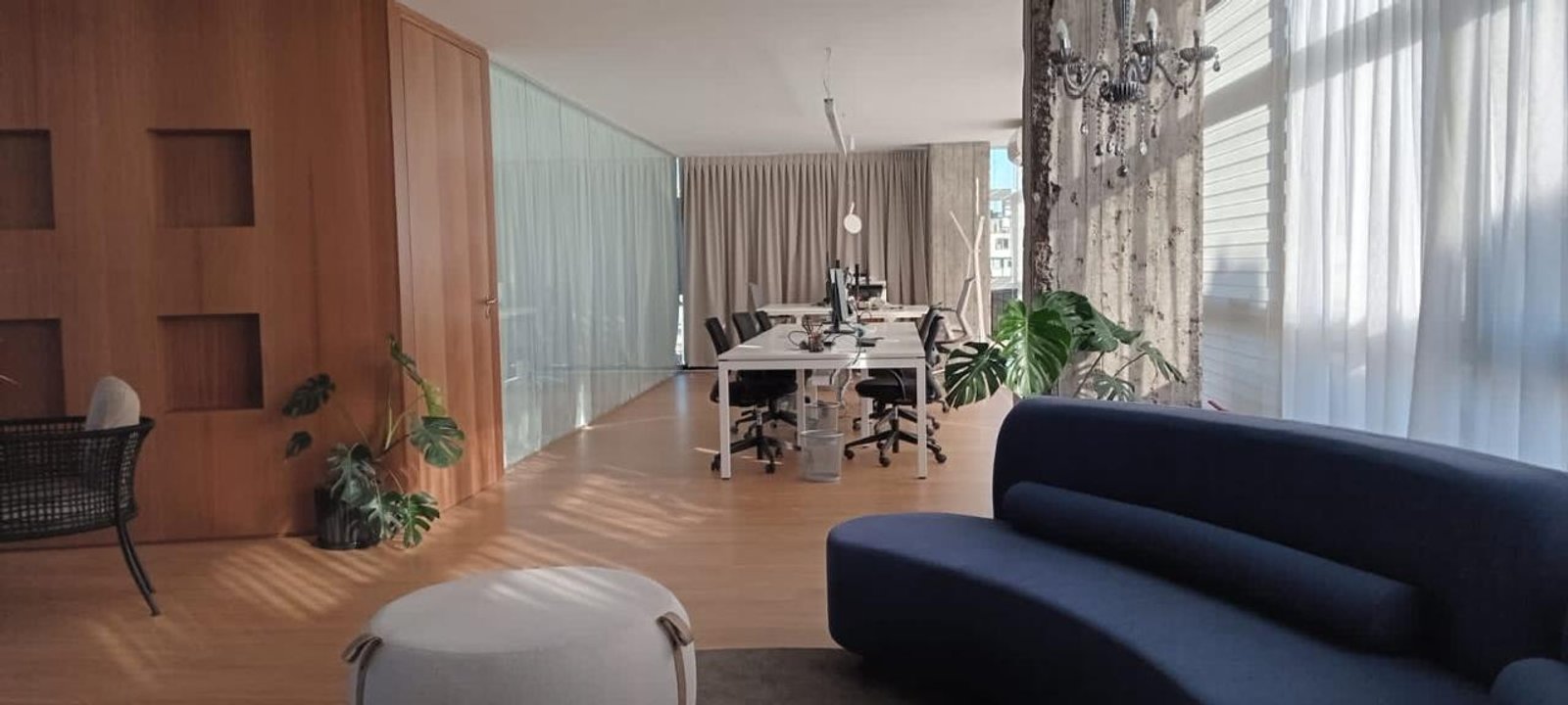 Escritório moderno com lounge, sofá curvo e painéis de madeira — projeto Oficinas LD, por WERTHEIM MUEBLES, em Buenos Aires